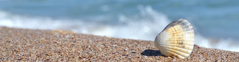 http://emofree.ru/wp-content/uploads/2012/06/stockvault-shell-by-the-beach152315_-960x250.jpg